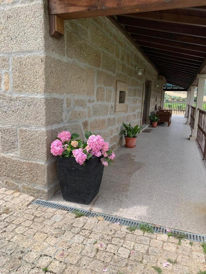 Villa Quinta Do Palame à Vila Flor Extérieur photo